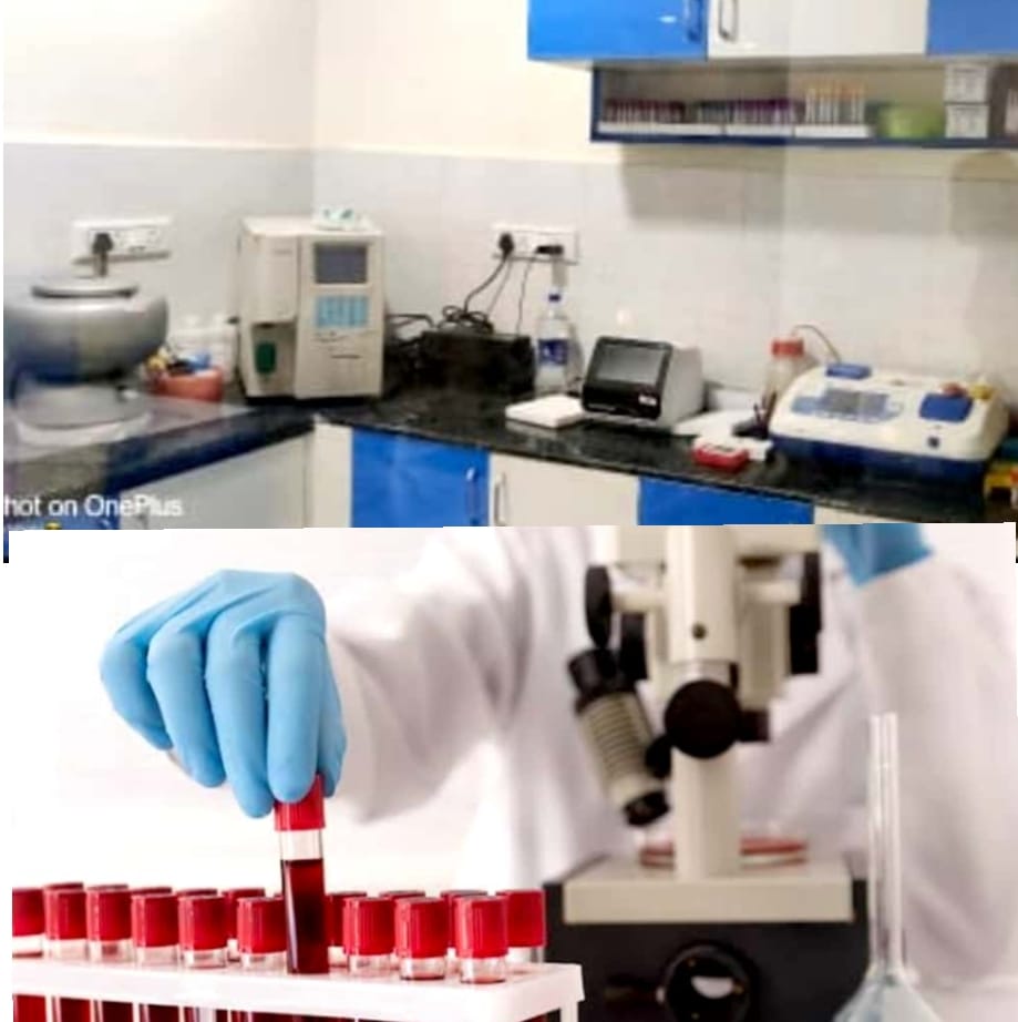 ydc laboratory service